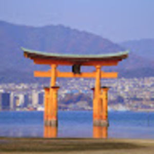 Meet your Posher, Alice